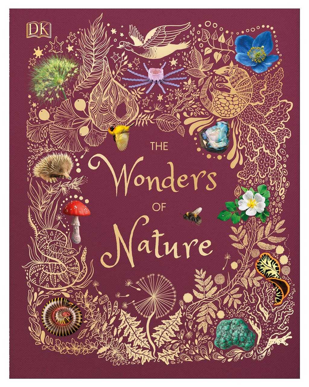 The Wonders of Nature