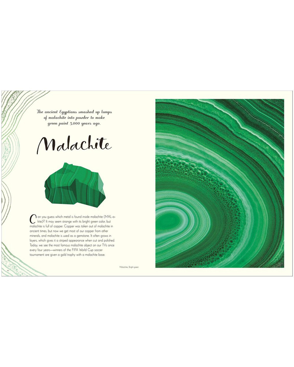 The Wonders of Nature