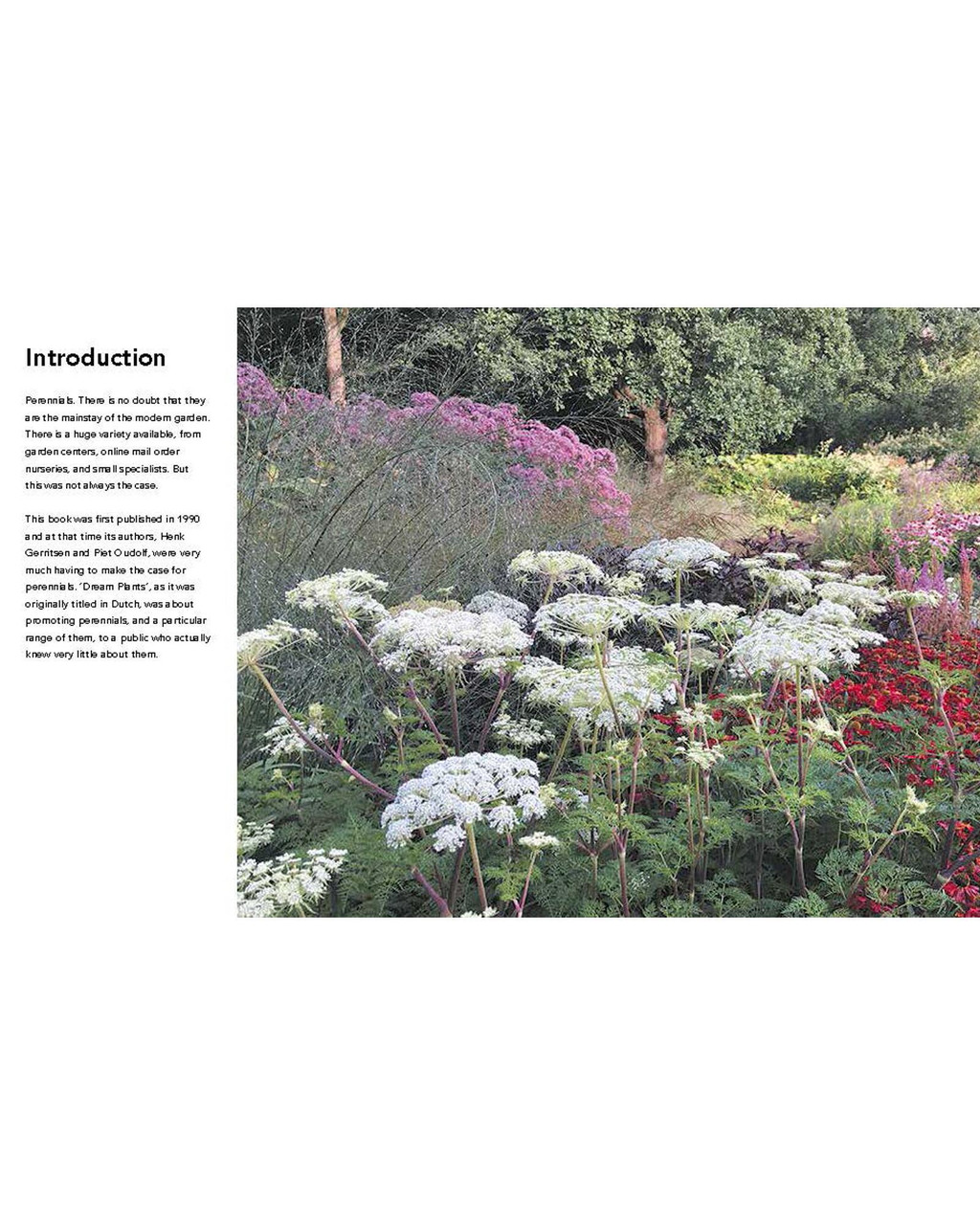 Planting the Natural Garden | Shop Smithsonian Store