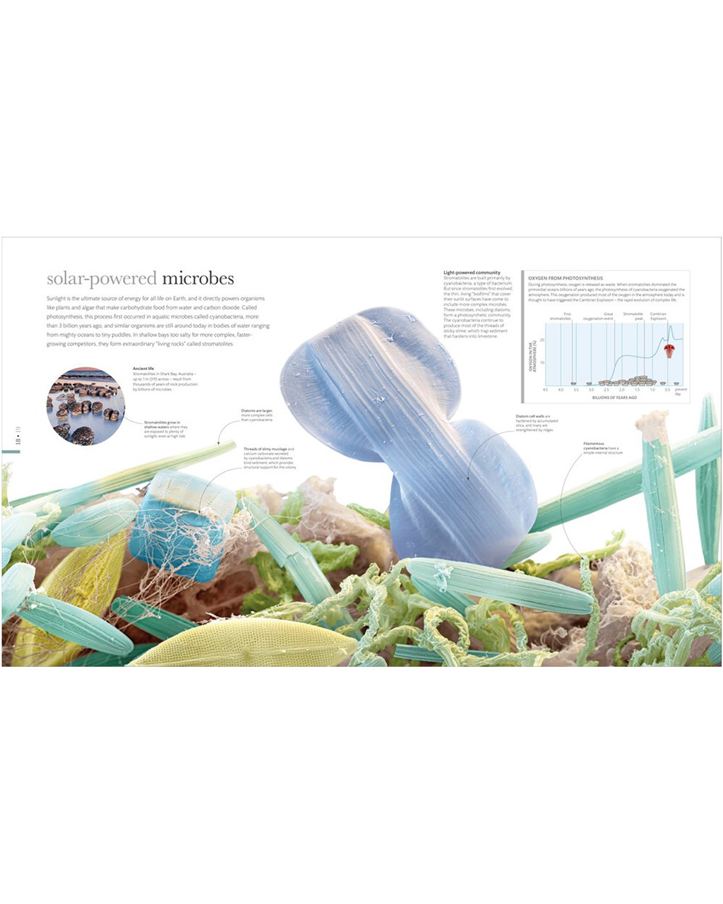 Micro Life: Miracles of the Miniature World Revealed