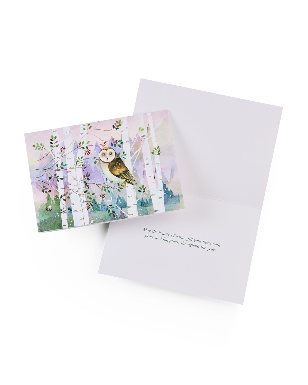 Cute Owl Christmas Cards | Shop Smithsonian Store