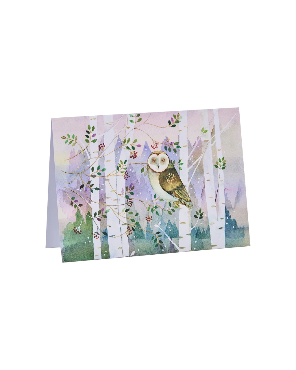 Cute Owl Christmas Cards | Shop Smithsonian Store