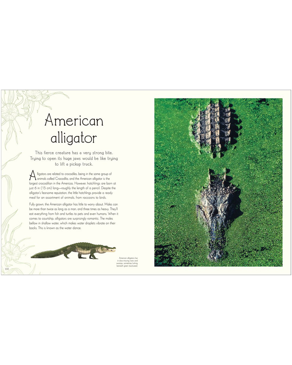 An Anthology Of Aquatic Life an-anthology-of-aquatic-life