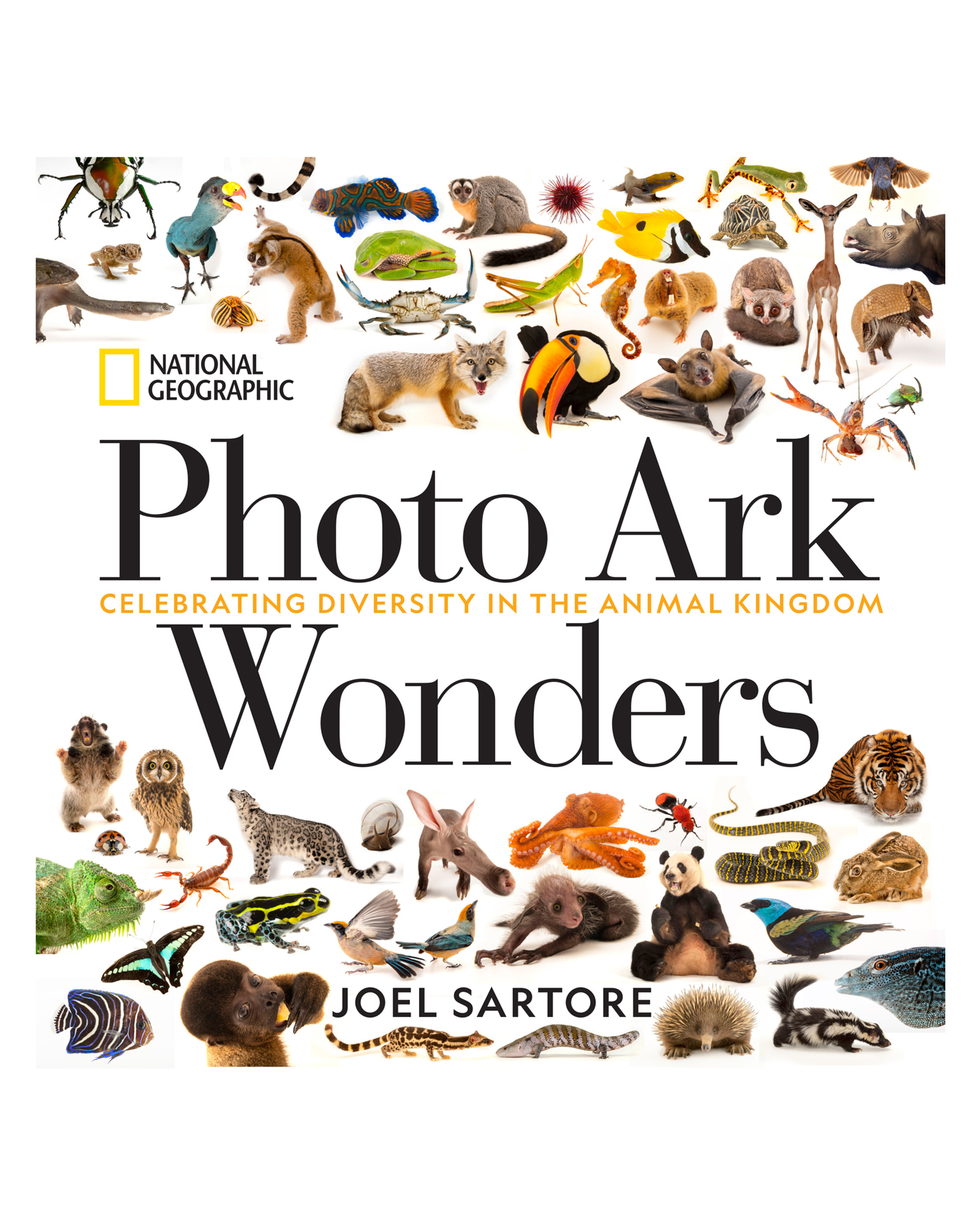 アート・デザイン・音楽 NATIONAL GEO 100 best wildlife pictures 100 Best Wildlife Pictures (National Geographic Magazine