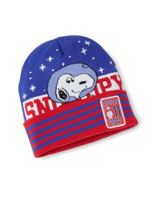 Snoopy in Space Collection | National Air and Space Museum