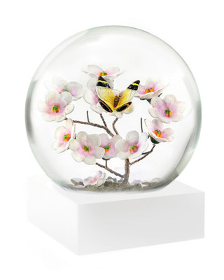 nao 海外shopgallery 242UW49N-CSM02-