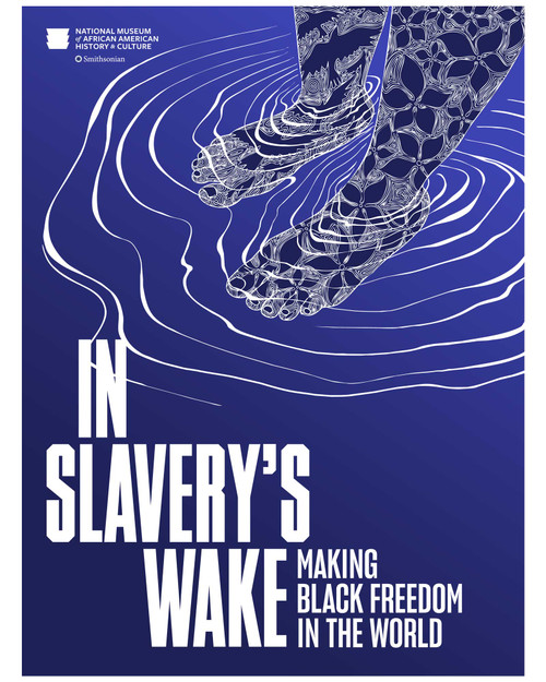 Hardcover of In Slavery's Wake: Making Black Freedom in the World, exploring Black resistance and the legacies of slavery. View Product Image