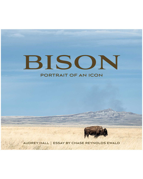 Bison: Portrait of an Icon
