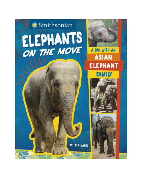 Elephants on the Move View Product Image