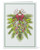 Holiday Swag Holiday Cards View Product Image