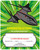 Champion certificate page from the Smithsonian Book of Paper Airplanes. View Product Image