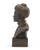 Ida B. Wells Bust View Product Image