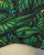Poison Frogs Short Sleeve Shirt View Product Image