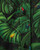 Poison Frogs Short Sleeve Shirt View Product Image