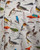 Bird House Short Sleeve Shirt View Product Image
