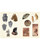 Cabinet of Curiosities II View Product Image