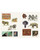 Cabinet of Curiosities II View Product Image