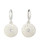 Smithsonian Sunburst Logo Earrings View Product Image