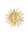Smithsonian Sunburst Logo Pin View Product Image