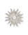 Smithsonian Sunburst Logo Pin View Product Image