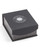 Smithsonian Sunburst Logo Pin View Product Image