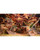 Let's Explore Dinosaurs Pop-Up View Product Image