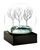 Four Seasons Waterglobes Set View Product Image