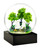 Four Seasons Waterglobes Set View Product Image