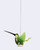 Hummingbird Glass Ornament View Product Image