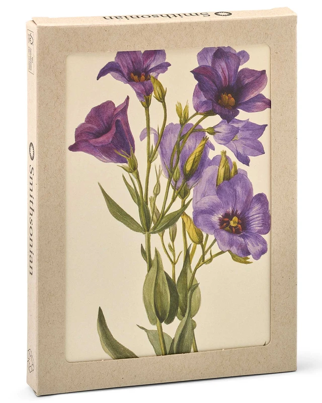 Shop Home Decor & Gifts | Smithsonian Store Collection
