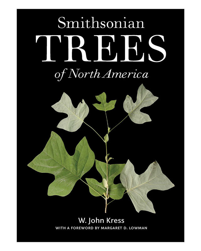 American Women's History Museum Shop Smithsonian Store