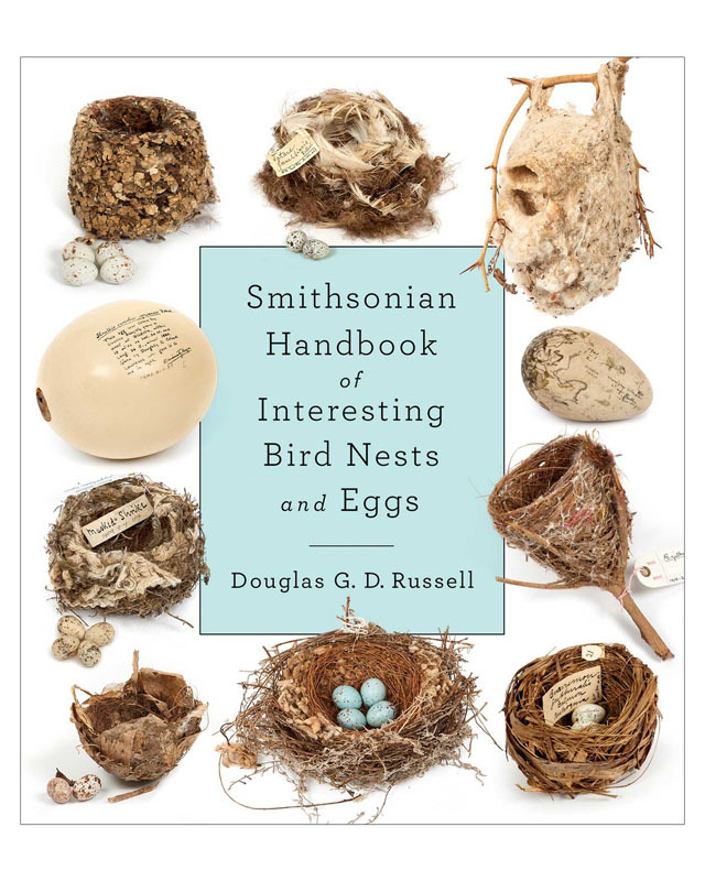 The Smithsonian Experience