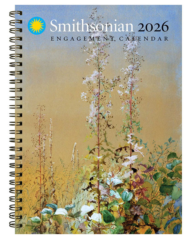 The Smithsonian Experience