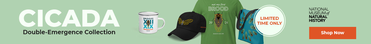 
	Cicada Double-Emergence Collection. LIMITED TIME ONLY - National Museum of Natural History— SHOP NOW