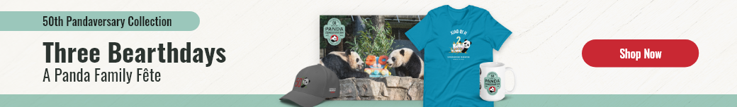 50th Pandaversary Collection - Three Birthdays, A Panda Family Fete. Limited Time Only! - Shop Now