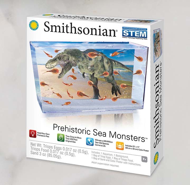 Let Imaginations Soar