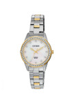 Ladies Two Toned Quartz Stainless Steel Mother of Pearl Bracelet Watch