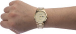 Accurist Gents Gold Plated Gold Dial Bracelet Watch 2