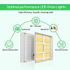 LED Grow Light - Full Spectrum Quantum Board 300w Plant Garden (like Mars TS600)