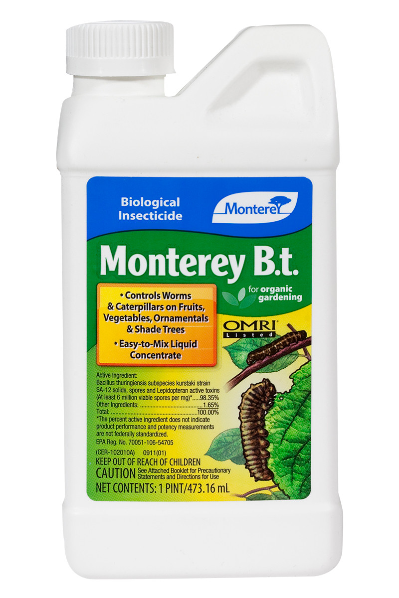 Monterey B.t. - Thumbnail 2