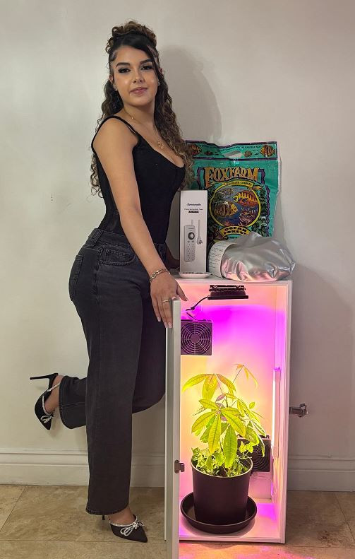 Cash Crop Smart Soil Grow Box 2.0 Edition - 1 Plant