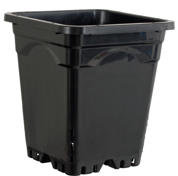 Active Aqua 9x9 Square Black Pot 10 Tall, 24 per case HG9X9SB