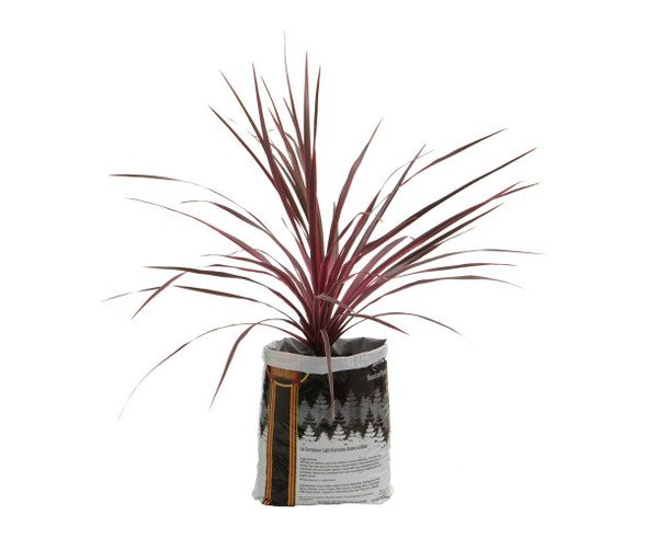 Royal Gold Royal Gold Kings Mix .75 cu ft 5 Gallon Plant in Bag RG14460