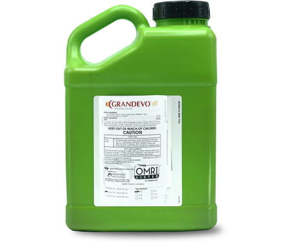 Marrone Bio Grandevo CG Bioinsecticide, 4 lb MBI30064