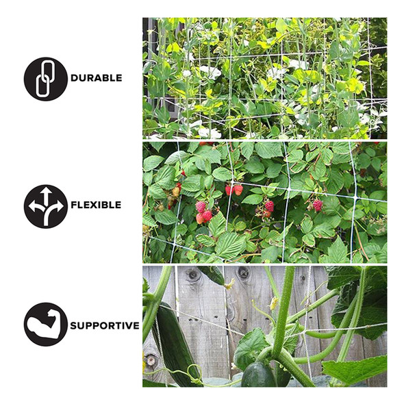 5'x350' Trellis Netting Roll White 6" Mesh Squares