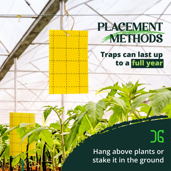 Catchmaster 3" x 5" Double-Sided Yellow Sticky Card Insect