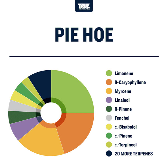 True Terpenes Pie Hoe Profile Infused 4oz