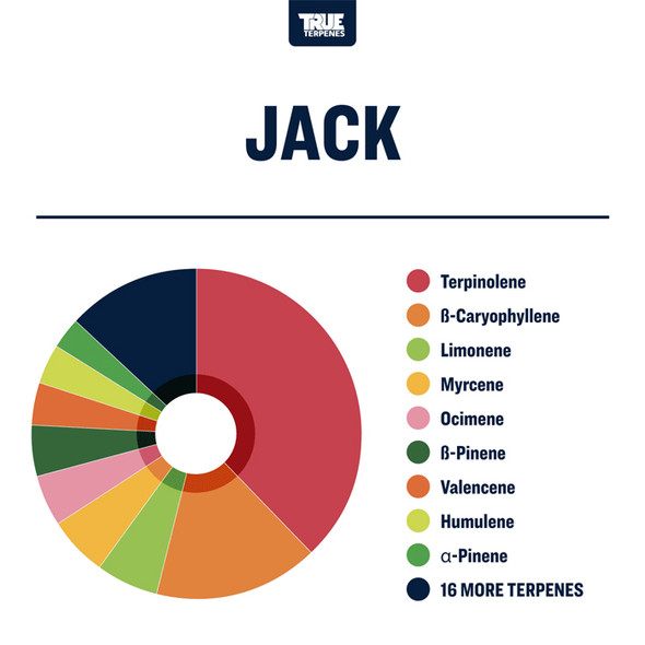 True Terpenes Jack Herrer Profile Precision 1oz