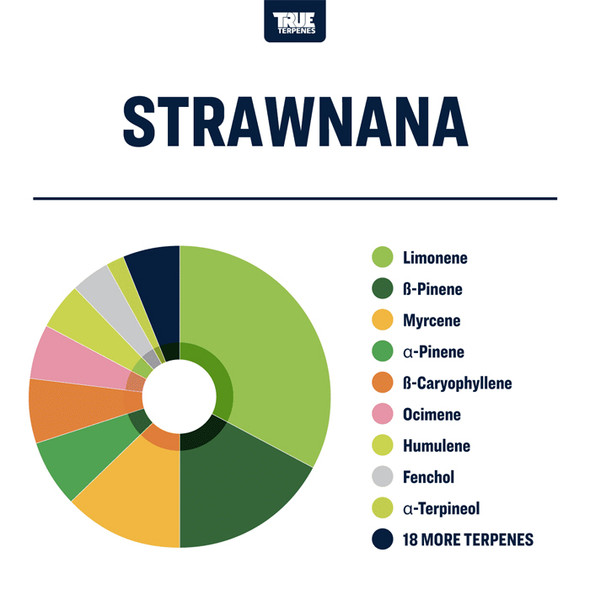 True Terpenes Strawnana Profile 15ml