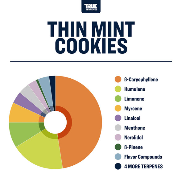 True Terpenes Thin Mint Cookies Profile 4oz